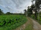 TWO-STORY HOUSE WITH 30.5 PERCHES OF LAND – FOR SALE IN SRI LANKA
