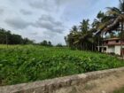 TWO-STORY HOUSE WITH 30.5 PERCHES OF LAND – FOR SALE IN SRI LANKA