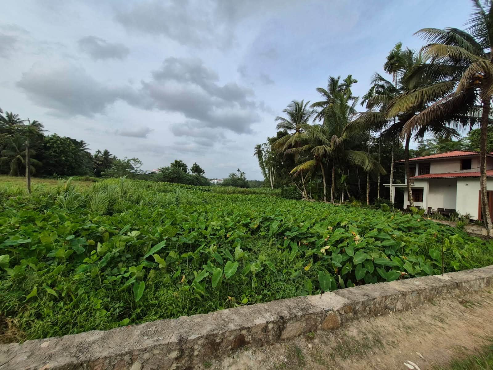TWO-STORY HOUSE WITH 30.5 PERCHES OF LAND – FOR SALE IN SRI LANKA