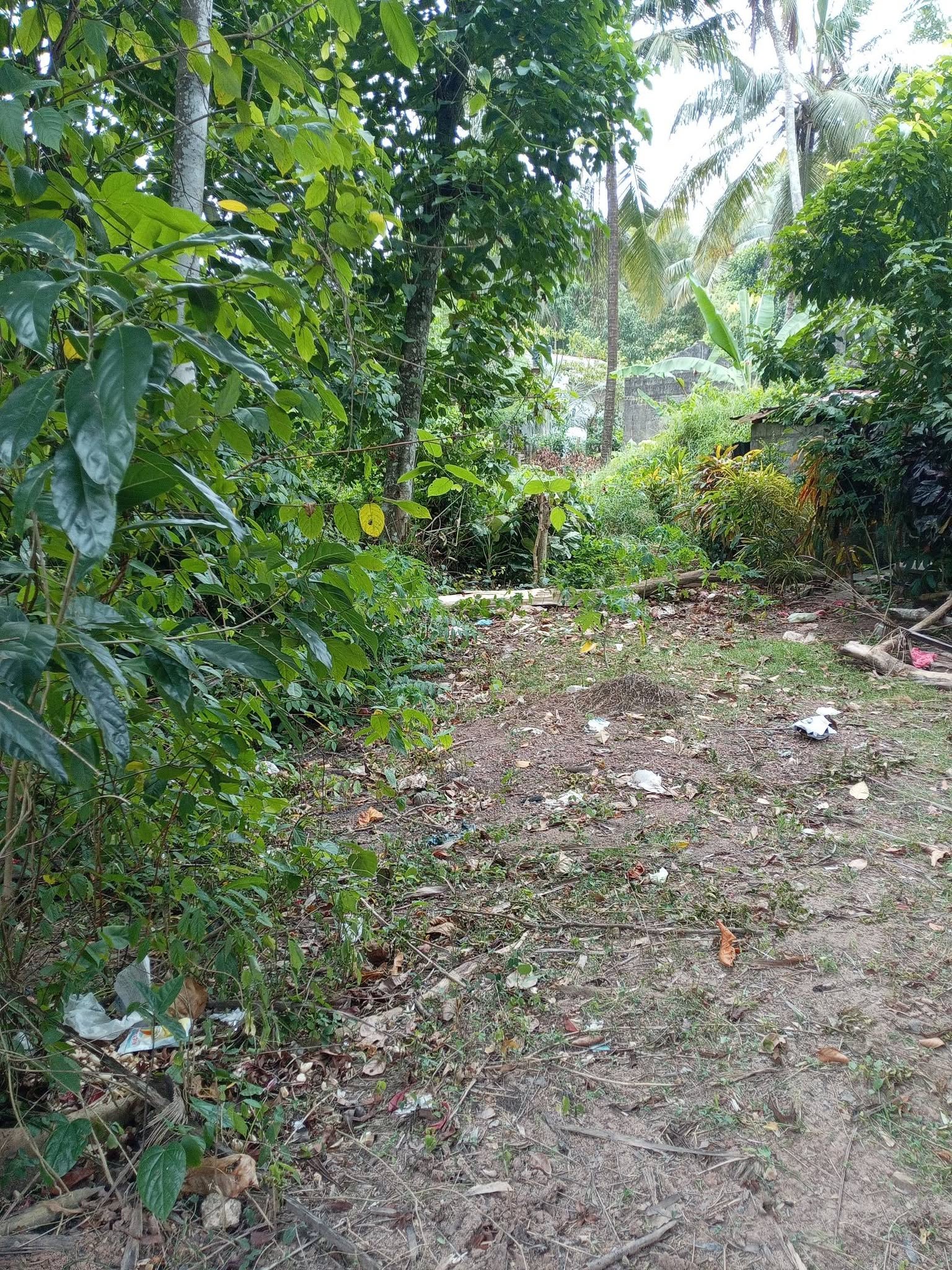 ඉතා ඉක්මනින් ව්කිනිමට පචස් 7/5 හිස් ඉඩමක් ව්කිනිමට තිබෙි