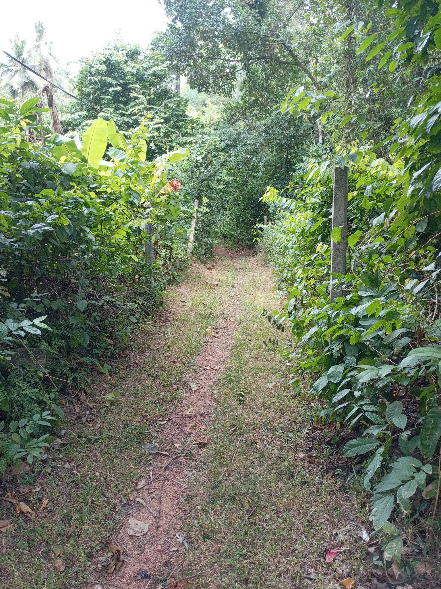ඉතා ඉක්මනින් ව්කිනිමට පචස් 7/5 හිස් ඉඩමක් ව්කිනිමට තිබෙි