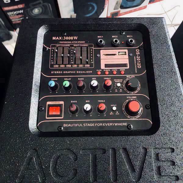 ACTIVE PA SPEAKER MODEL – DS 2012