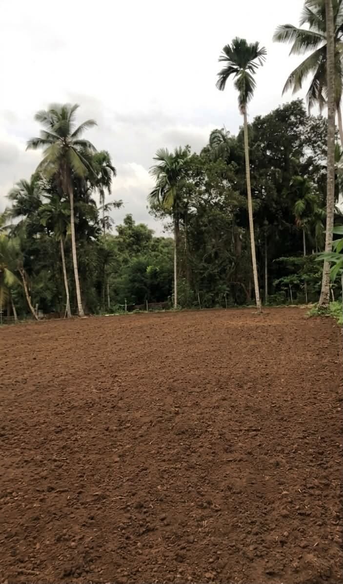 නිට්ටම්බුව ප්‍රදේශයෙන් අගනා ඉඩමක් විකිණීමට!