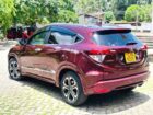 VEZEL ORANGE PACKAGE