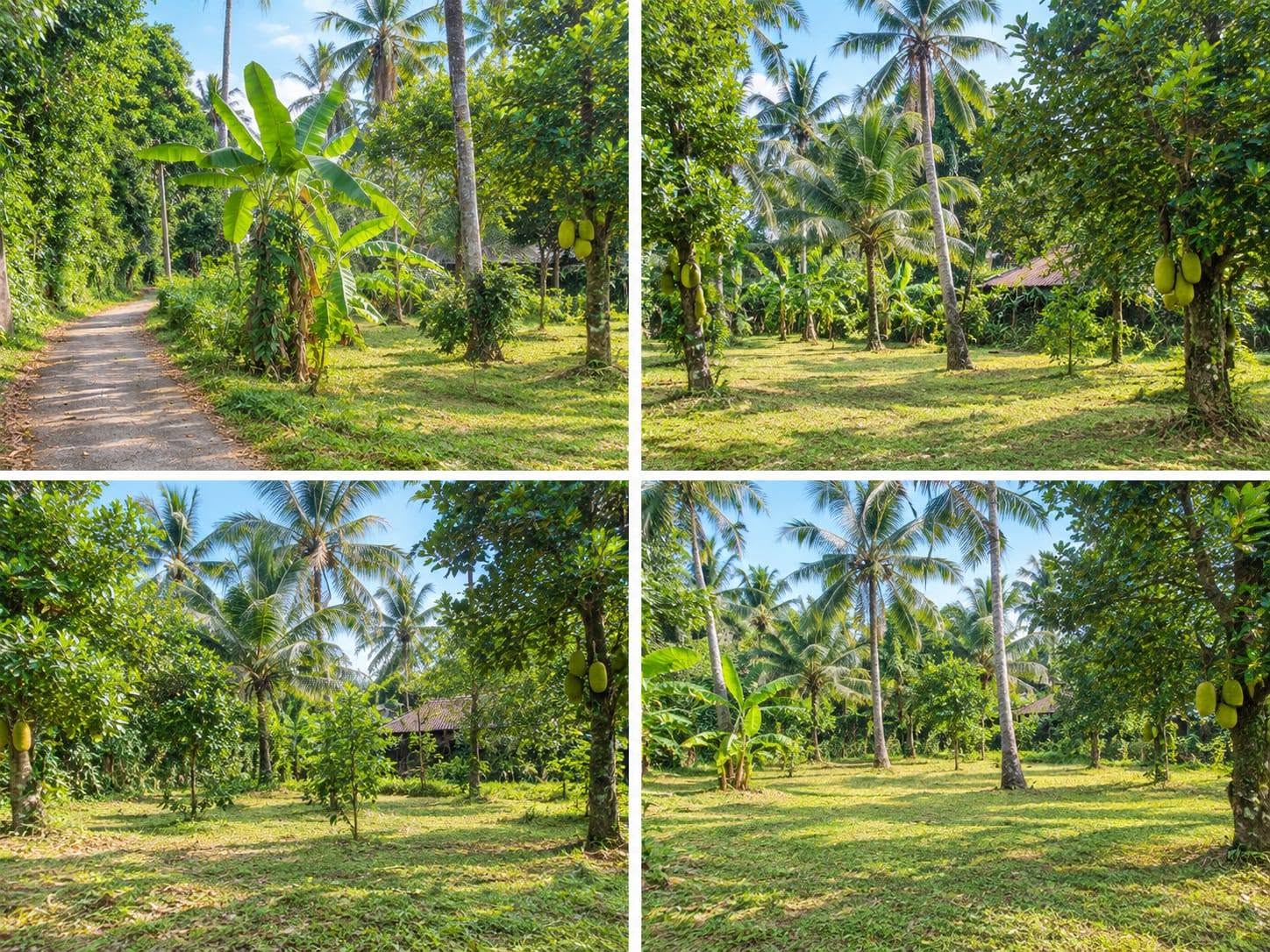 පර්චස් 28 ක් ඉඩමක් ඉතා ඉක්මනින්….