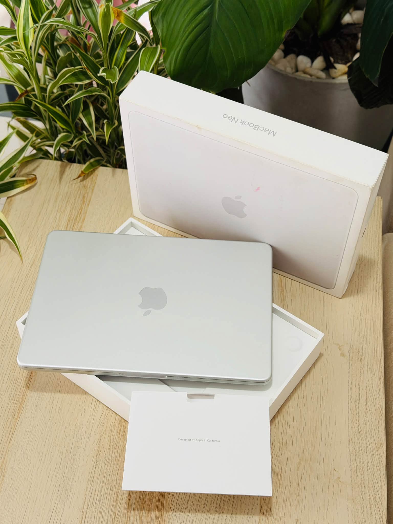 Apple MacBook Neo Silver 8GB/256GB 2026