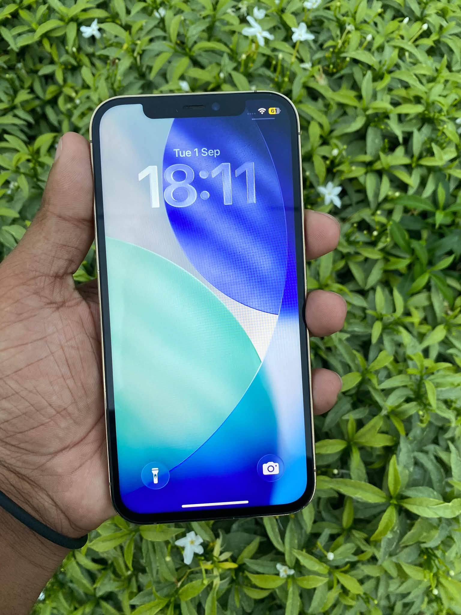 iPhone 12 Pro 256GB