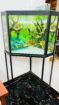 Fish tank for sale (Minuwangoda)