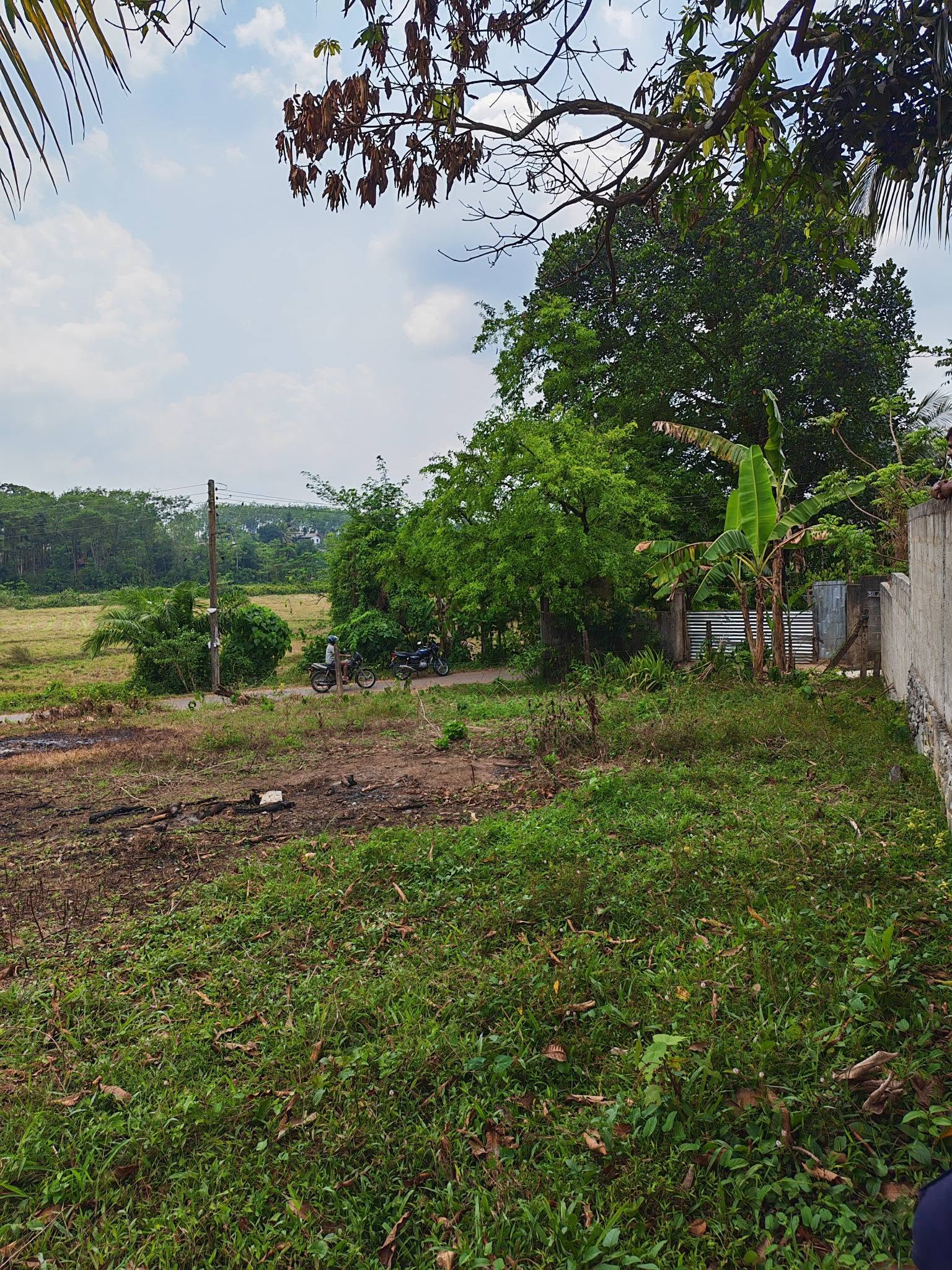 පෝරුවදන්ඩ ඉඩමක් විකිණීම