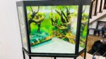 Fish tank for sale (Minuwangoda)
