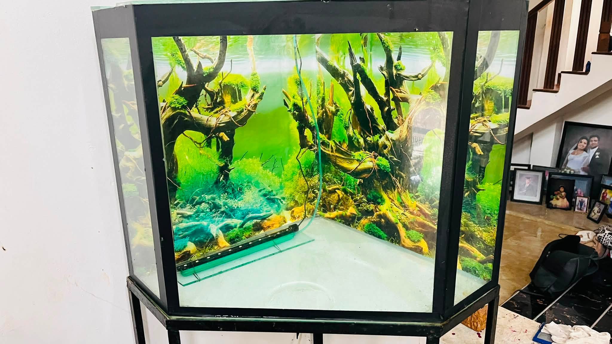 Fish tank for sale (Minuwangoda)