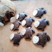 Coconut shell Craft