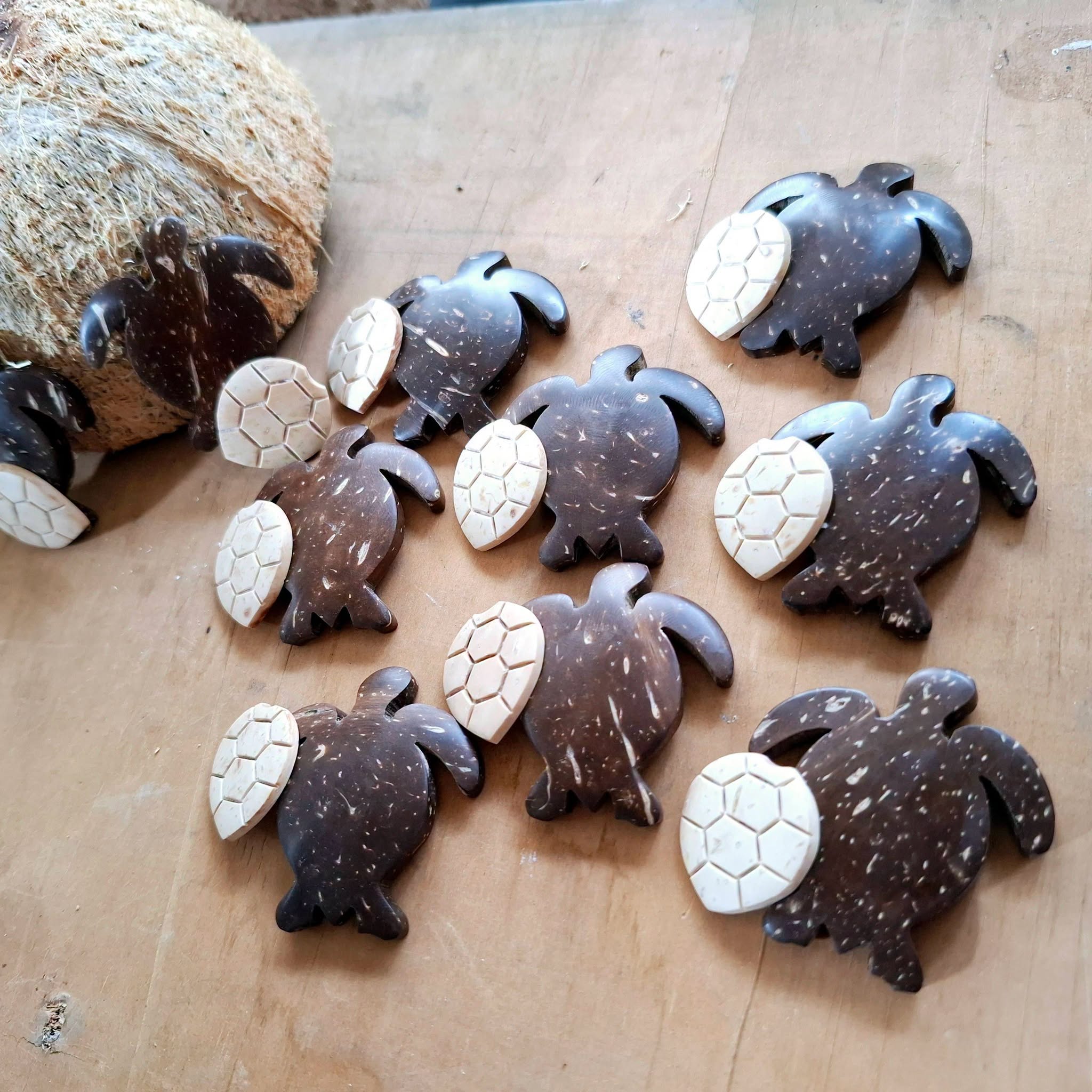 Coconut shell Craft