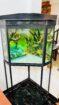 Fish tank for sale (Minuwangoda)