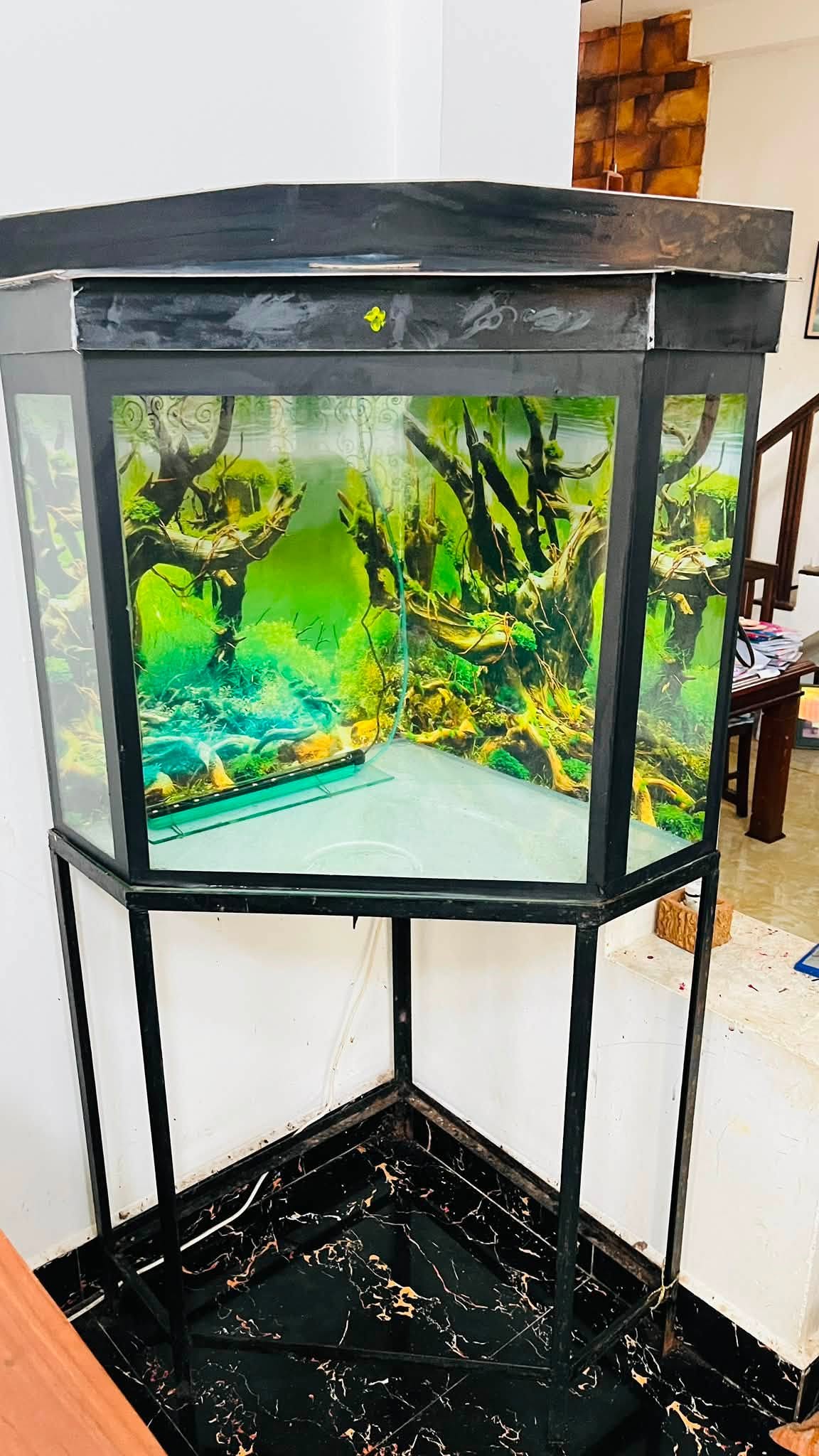 Fish tank for sale (Minuwangoda)