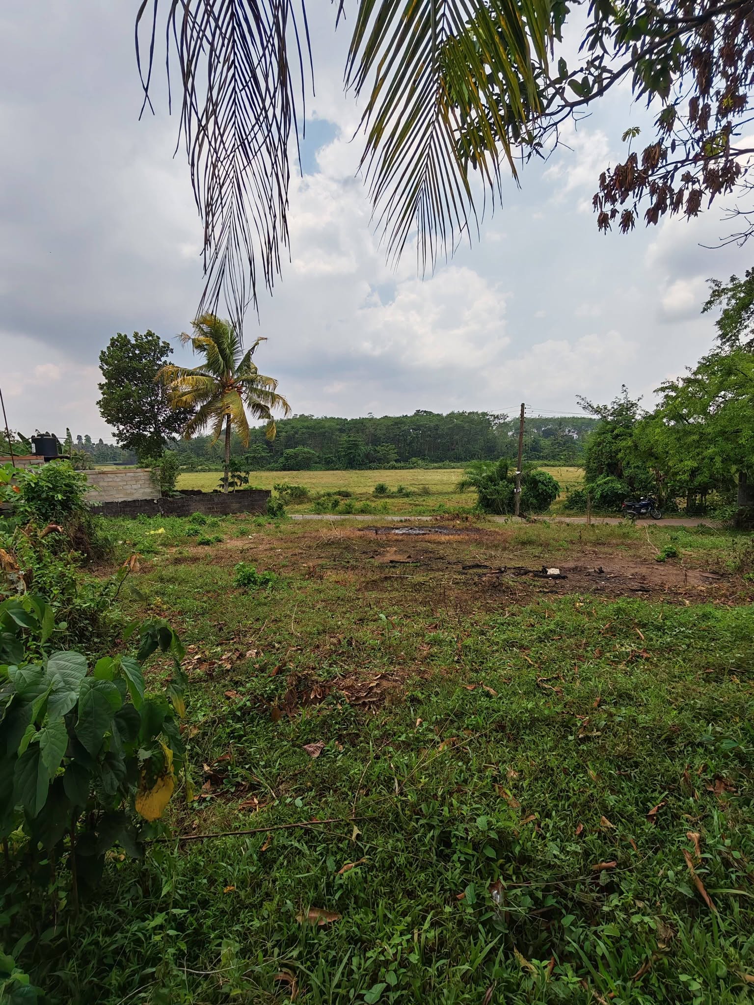 පෝරුවදන්ඩ ඉඩමක් විකිණීම