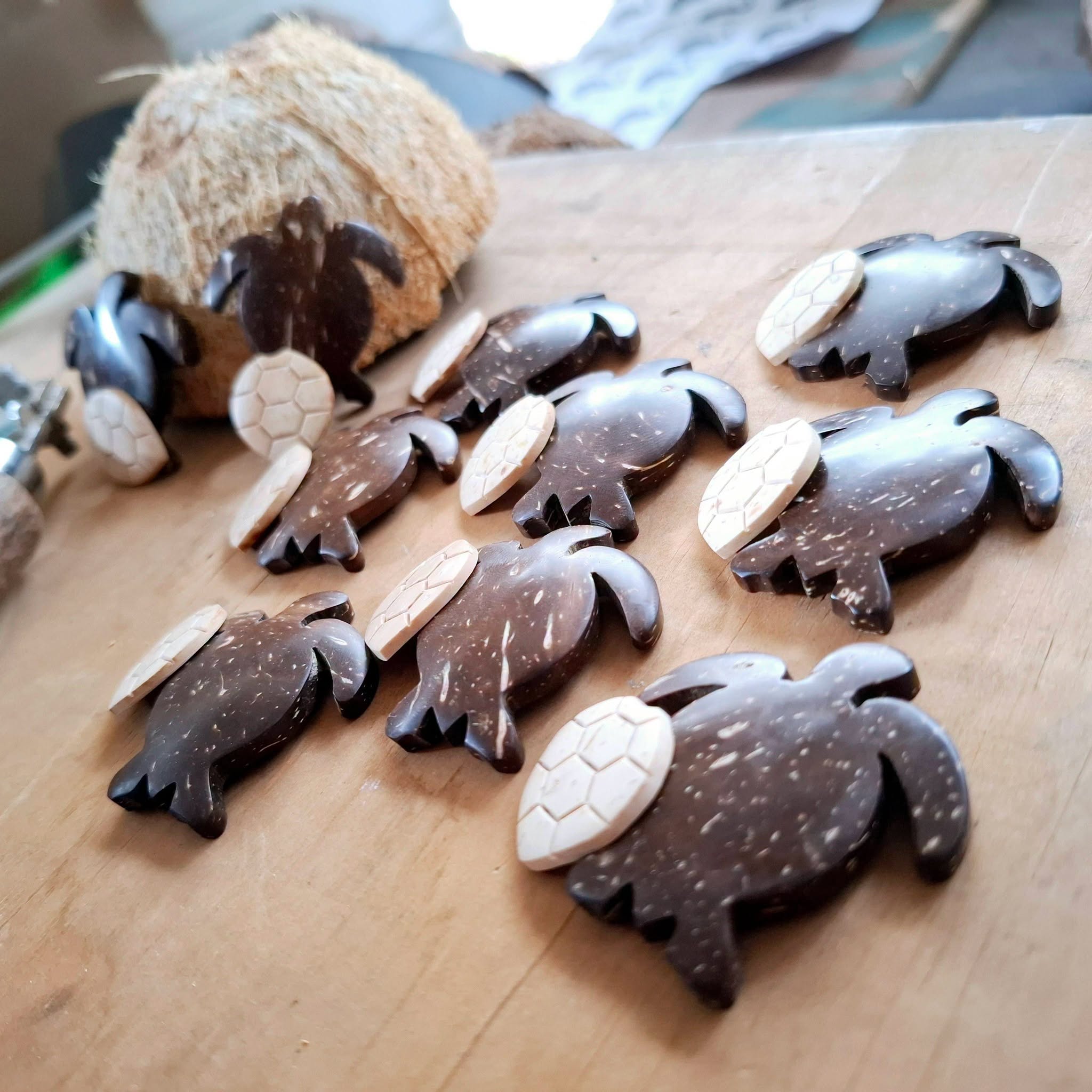 Coconut shell Craft