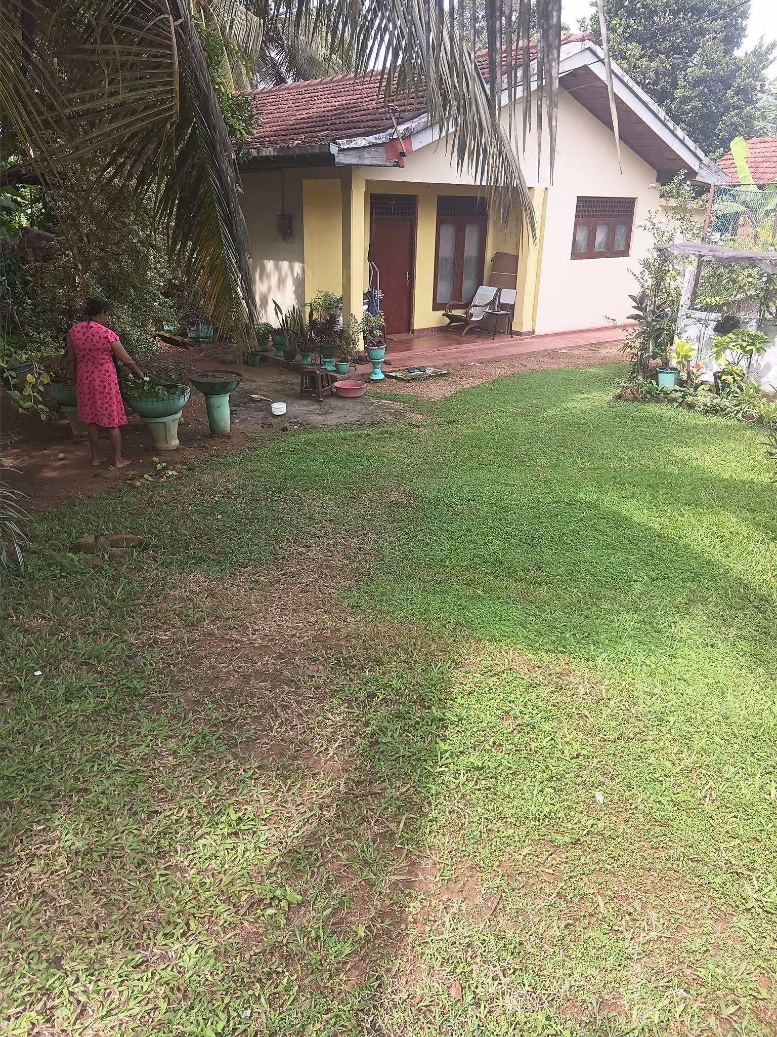 මෙම ඉඩම රාගම කඩවත අතර පිහිටා ඇත. ඉක්මනින් විකිනිමට….