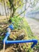 කලුතර දිස්ත්‍රික්කය පයාගල පොතුවිල ප්‍රදේශයෙන් ගාලු පාරට ආසන්නව පර්චස් 15 ක වටිනා නේවාසික ඉඩම විකිණීමට.