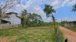 ගම්පහ නගරයටත් ආසන්නව, ප්‍රධාන මාර්ගවලටත් පහසු ප්‍රවේශයක් — නිවසකට හෝ අනාගත ආයෝජනයකට සලකා බලන්න වටිනා ඉඩම්.