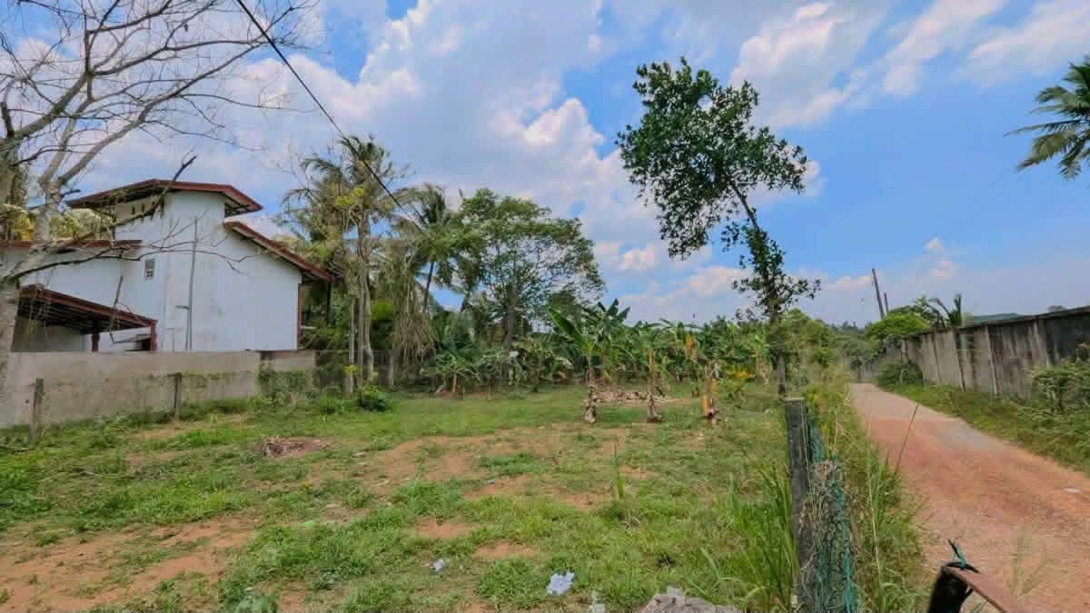 ගම්පහ නගරයටත් ආසන්නව, ප්‍රධාන මාර්ගවලටත් පහසු ප්‍රවේශයක් — නිවසකට හෝ අනාගත ආයෝජනයකට සලකා බලන්න වටිනා ඉඩම්.