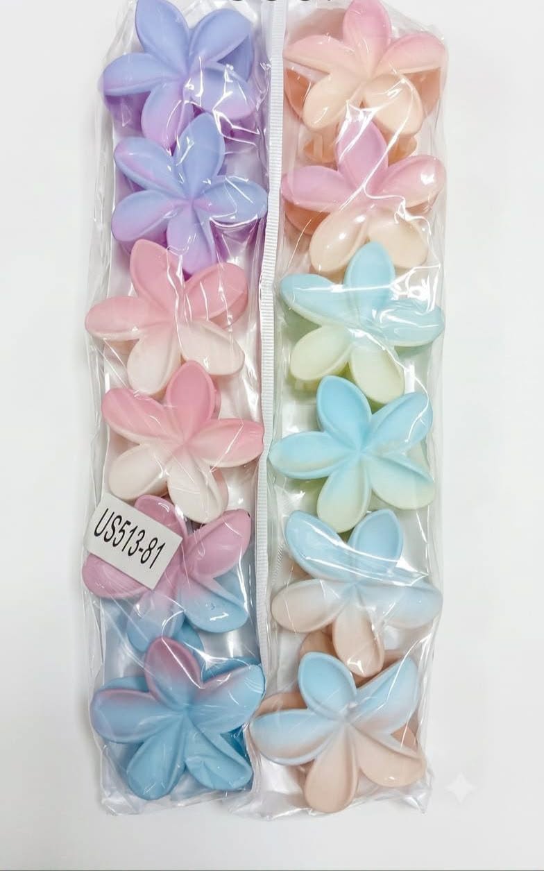 Hair Clip