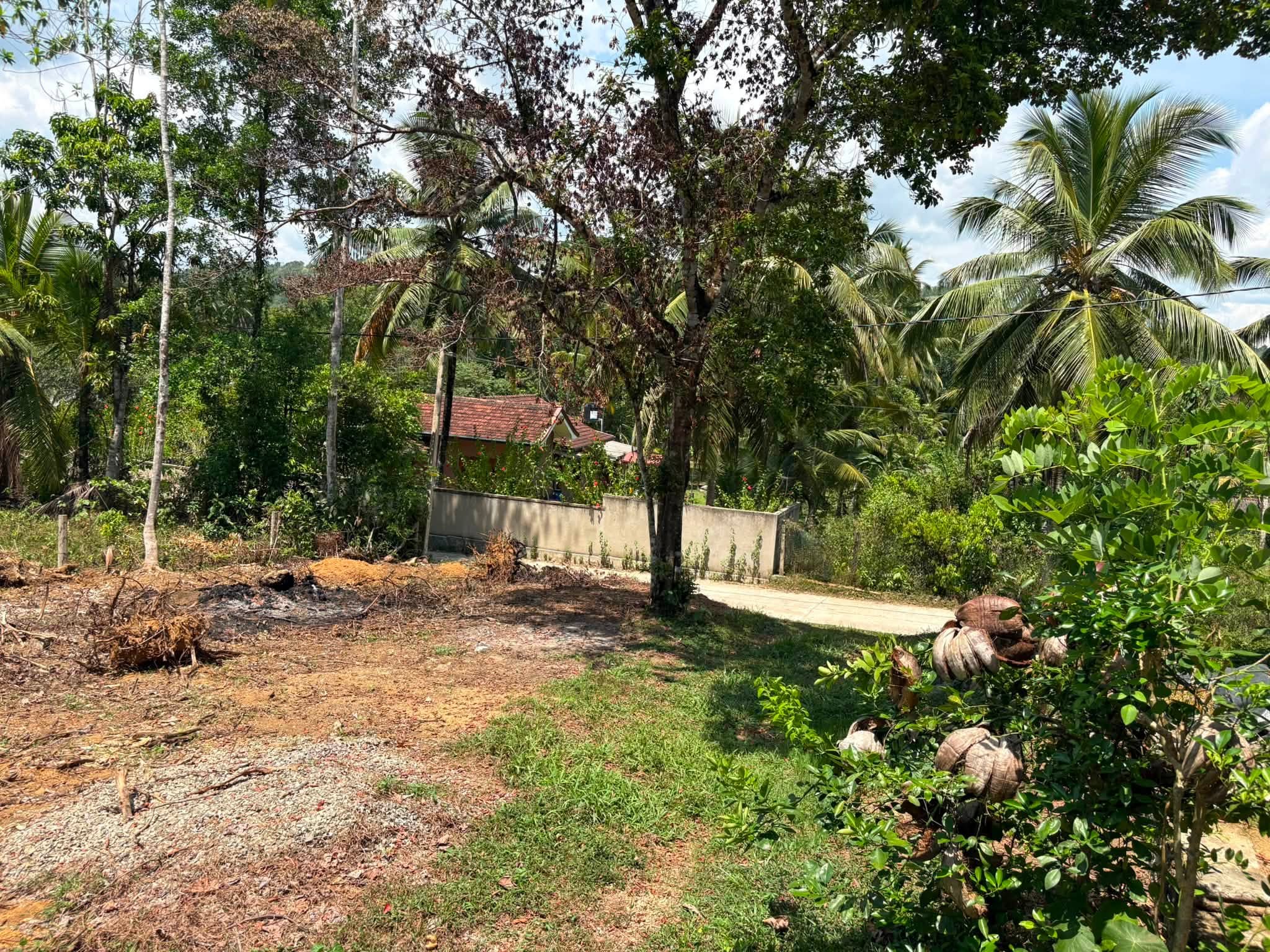 ඉඩමක් ඉක්මනින් විකිණීමට!