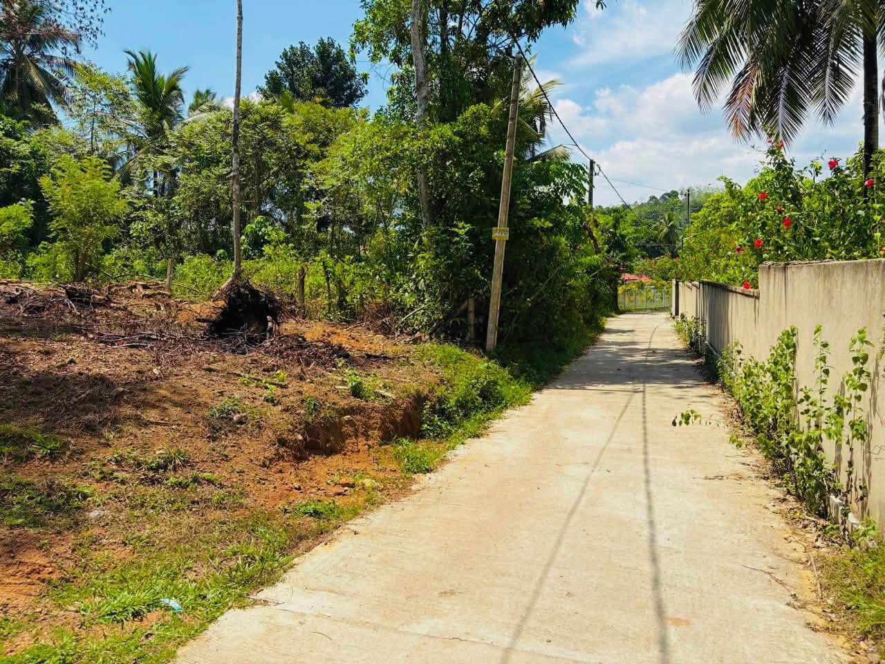 ඉඩමක් ඉක්මනින් විකිණීමට!