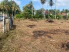 නයිනමඩම Sr. Thionilla Mawatha හි ඉතා පහසු සහ වටිනා ස්ථානයක පිහිටි පර්චස් 57ක ඉඩමක් විකිණීමට ඇත.