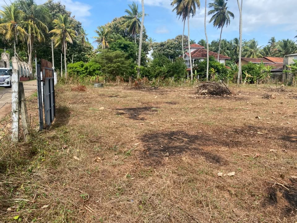නයිනමඩම Sr. Thionilla Mawatha හි ඉතා පහසු සහ වටිනා ස්ථානයක පිහිටි පර්චස් 57ක ඉඩමක් විකිණීමට ඇත.