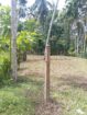 මිනුවන්ගොඩ ඉතා ඉක්මනින් විකිණීමට පචස් 11 හිස් ඉඩමක්.