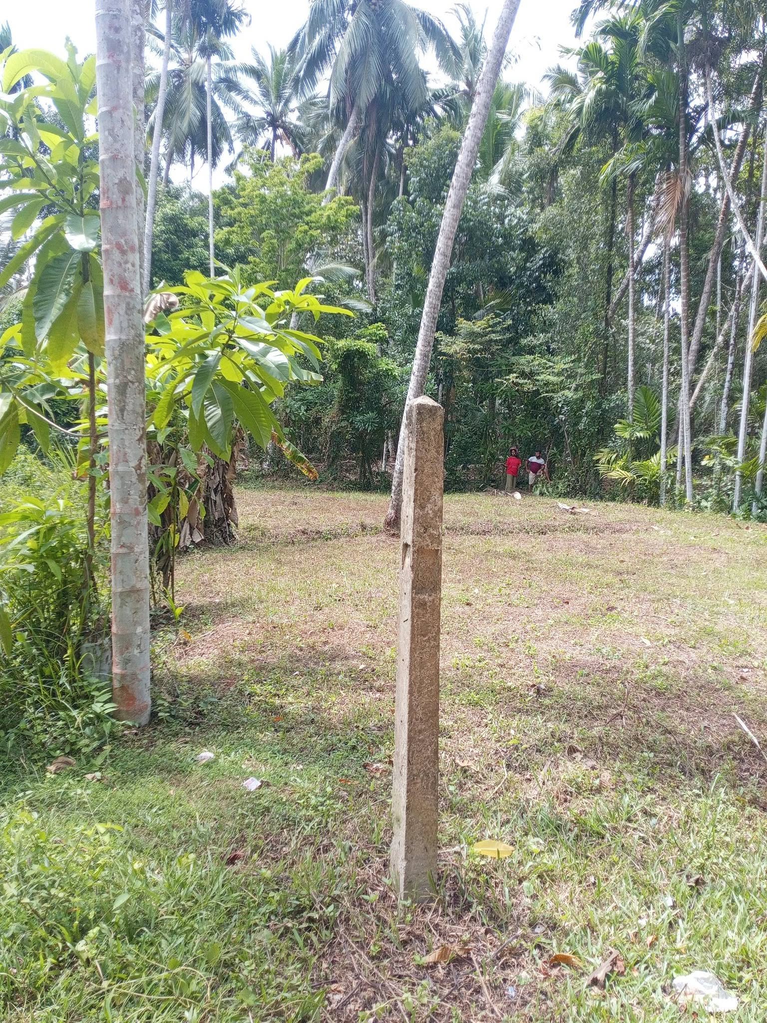 මිනුවන්ගොඩ ඉතා ඉක්මනින් විකිණීමට පචස් 11 හිස් ඉඩමක්.