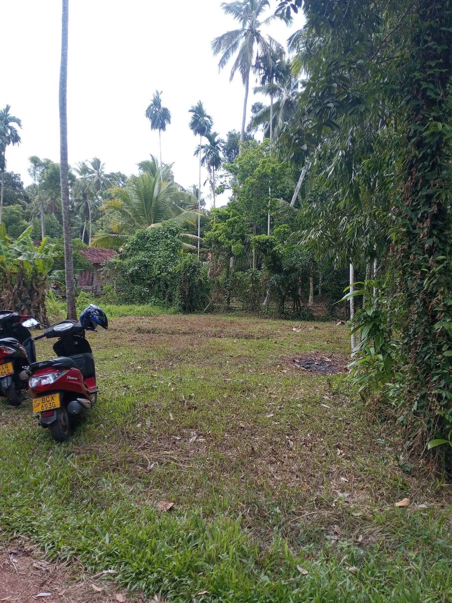 මිනුවන්ගොඩ ඉතා ඉක්මනින් විකිණීමට පචස් 11 හිස් ඉඩමක්.