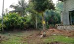 ගම්පහ දිස්ත්‍රික්කයේ මිරිගම නගරයට ආසන්නයේ පර්චස්10 විකිනිමට.