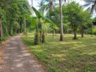 පර්චස් 28 ක් ඉඩමක් ඉතා ඉක්මනින්….
