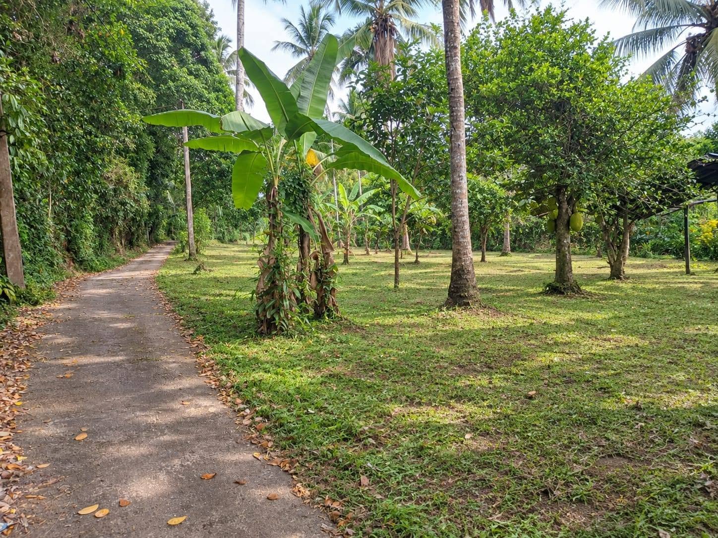 පර්චස් 28 ක් ඉඩමක් ඉතා ඉක්මනින්….