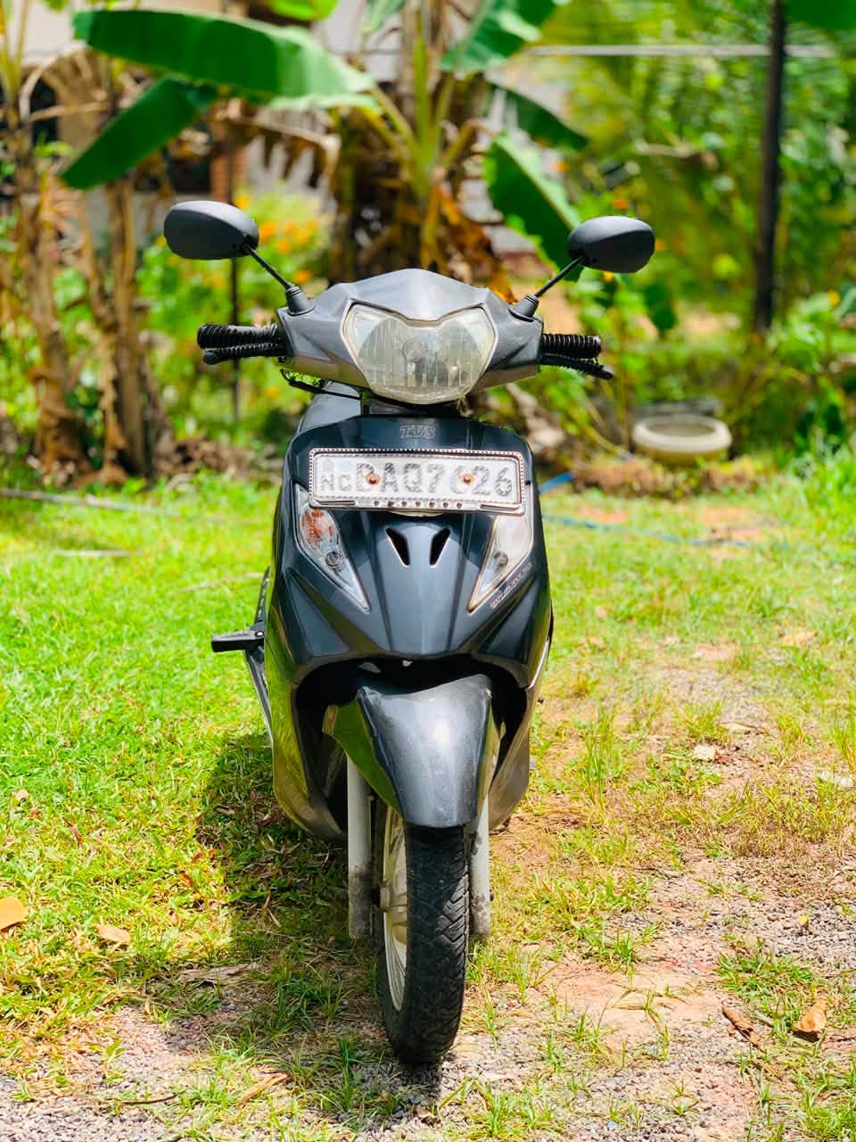 TVS WEGO