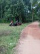 මිනුවන්ගොඩ ඉතා ඉක්මනින් විකිණීමට පචස් 11 හිස් ඉඩමක්.