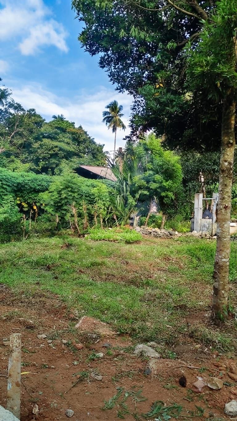 ගම්පහ දිස්ත්‍රික්කයේ මිරිගම නගරයට ආසන්නයේ පර්චස්10 විකිනිමට.