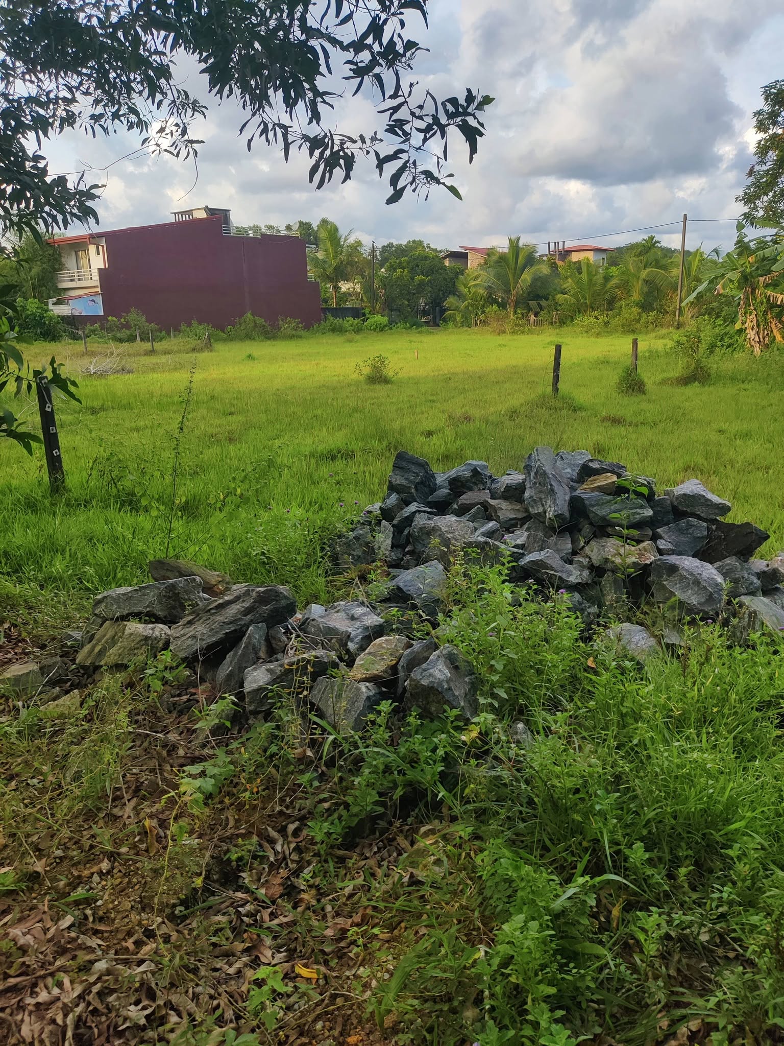 ගුරුගොඩ පර්ත් පැරඩයිස් වටිනා ඉඩමක් විකිණීමට