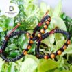 Handmade bracelet