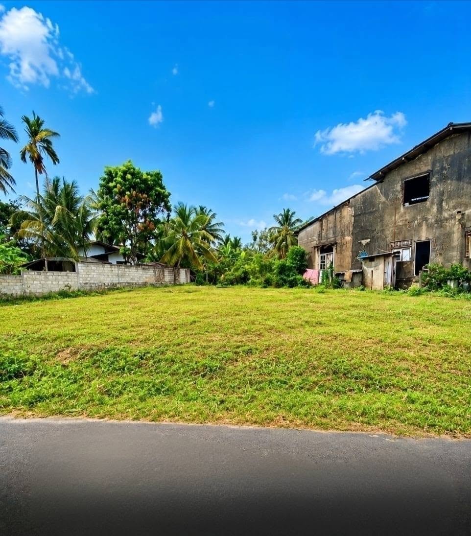 පෝරුවදන්ඩ ඉඩමක් විකිණීම
