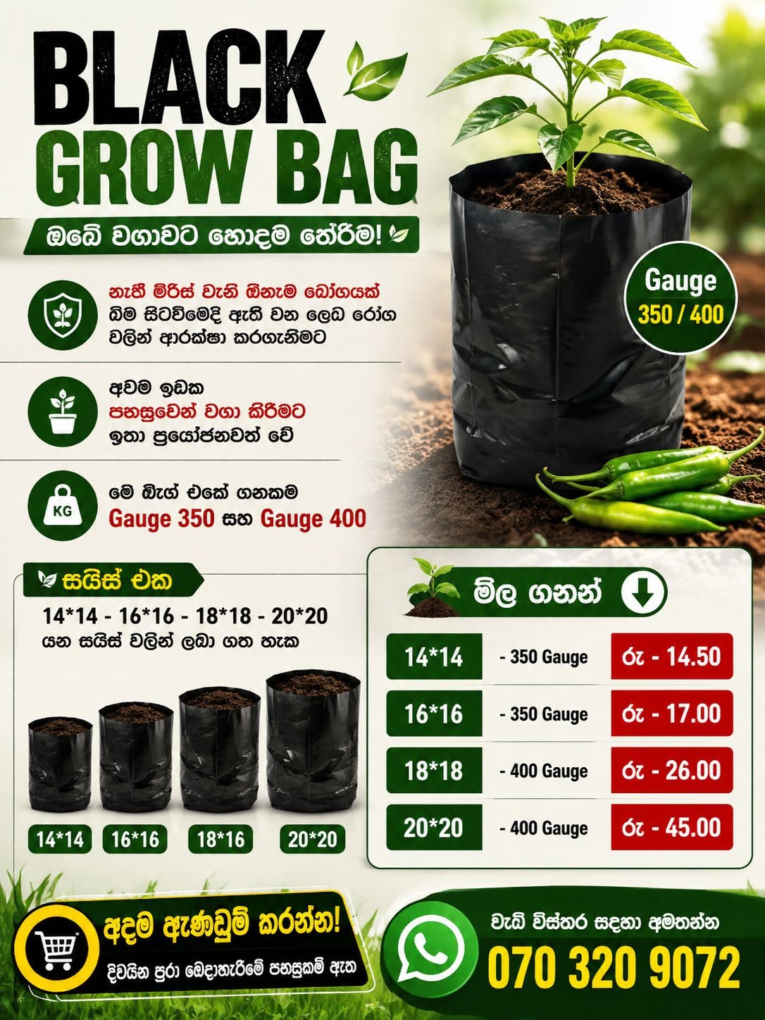 BLACK GROW BAG – ඔබේ වගාවට හොඳම තේරීම