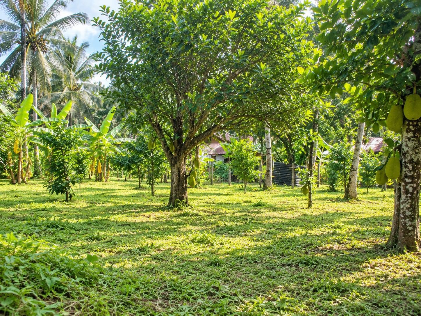 පර්චස් 28 ක් ඉඩමක් ඉතා ඉක්මනින්….