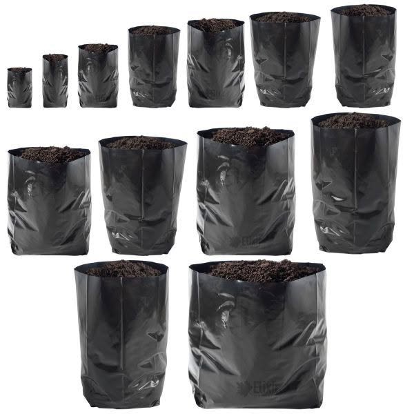 BLACK GROW BAG – ඔබේ වගාවට හොඳම තේරීම