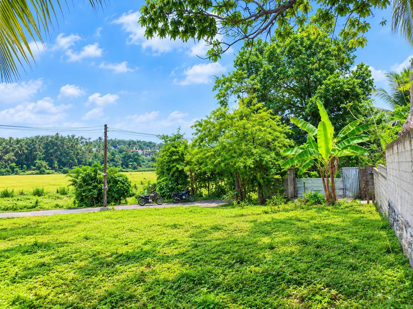 පෝරුවදන්ඩ ඉඩමක් විකිණීම