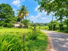 පෝරුවදන්ඩ ඉඩමක් විකිණීම