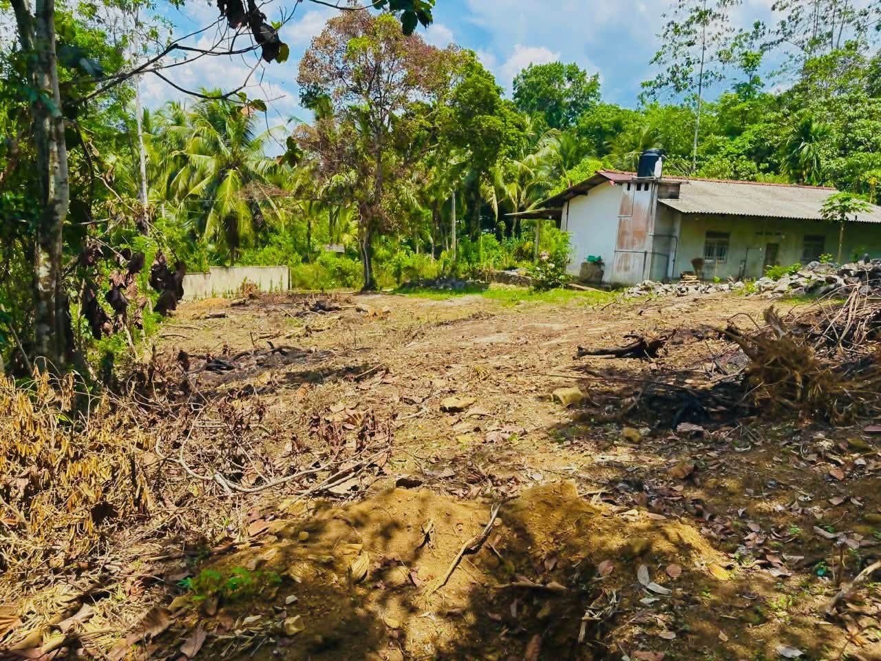 කදන්හේන පංසල අසල, හොරණ ඉඩමක් ඉක්මනින් විකිණීමට!