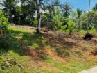 කදන්හේන පංසල අසල, හොරණ ඉඩමක් ඉක්මනින් විකිණීමට!