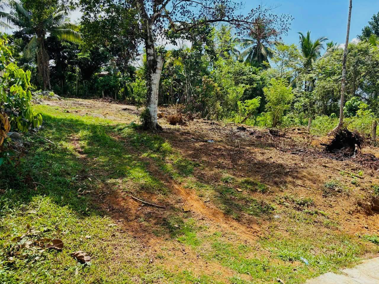 කදන්හේන පංසල අසල, හොරණ ඉඩමක් ඉක්මනින් විකිණීමට!